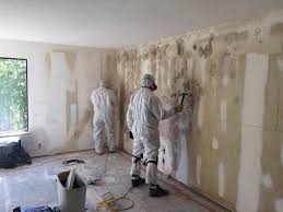 Mold Remediation for Vacation Homes